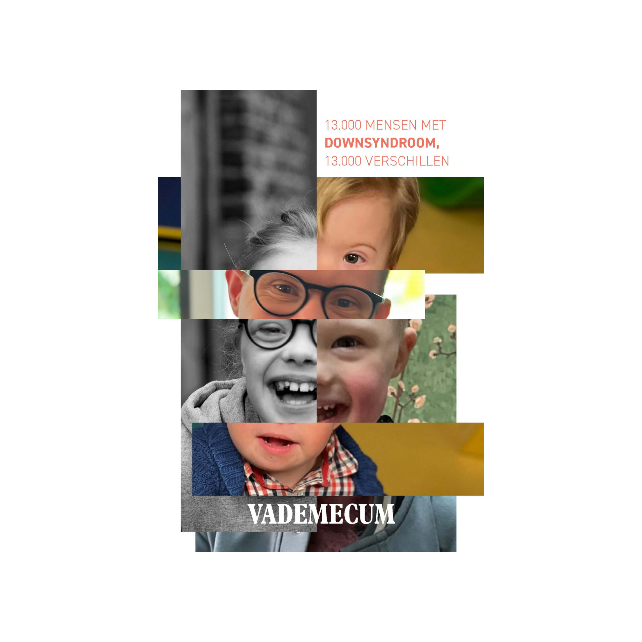 Vademecum Downsyndroom